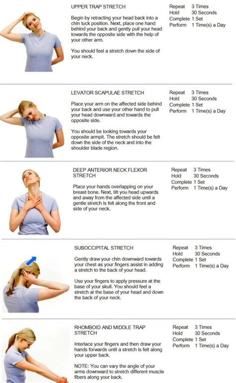 cervical neck pain exercises pdf - Pretty Well Binnacle Image Bank