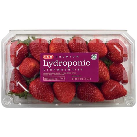 Fresh Hydroponic Strawberries - Shop Berries & Cherries at H-E-B