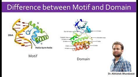 What is the difference between Motif and domain of a protein? - YouTube