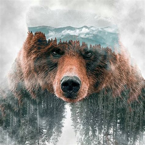 And the animal spirit! | Bear artwork, Bear art, Bear spirit animal