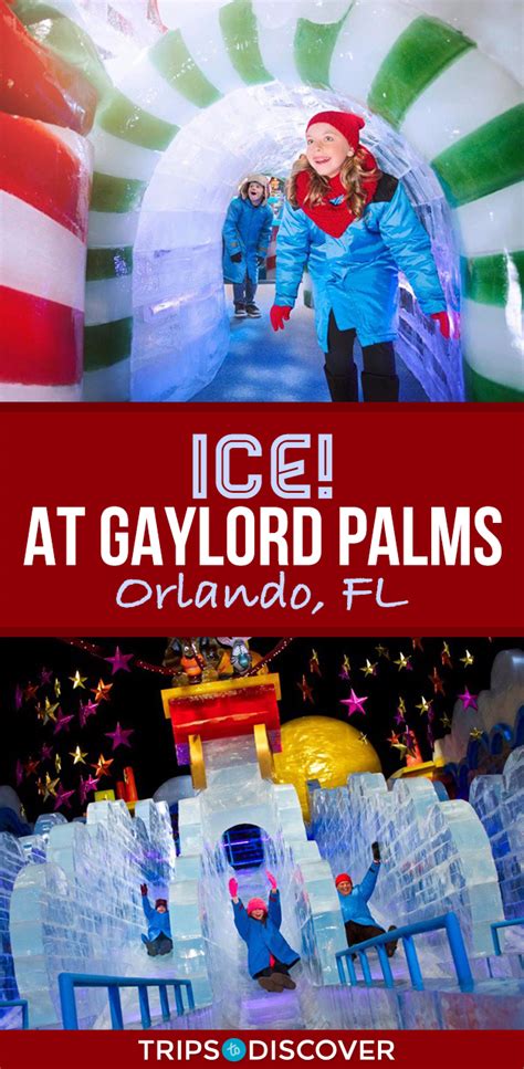 Visit ICE! at Gaylord Palms in Orlando, FL This Christmas 2024 – Trips ...