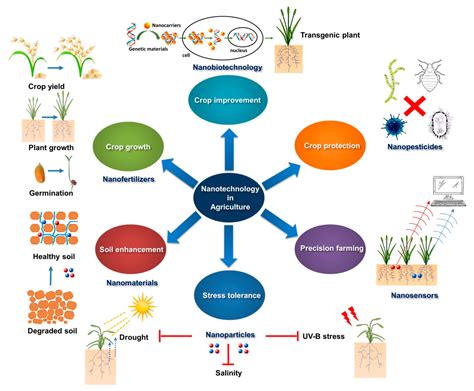 Molecules | Free Full-Text | Applications of Nanotechnology in Plant Growth and Crop Protection ...