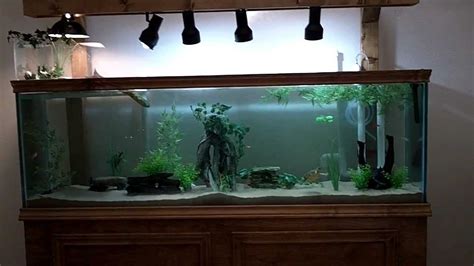 125 Gallon Fish Tank - Temmie Aquarium