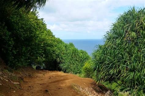 POLOLU VALLEY: Hike to Pololu Valley beach OR just see the lookout? 🌴 ...