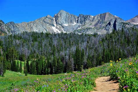 10 Best Hiking Trails in Big Sky, Montana | TouristSecrets