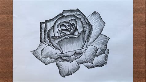 How To Draw A Rose With Pencil