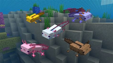 Minecraft: All Axolotl Color Variants - Gamepur