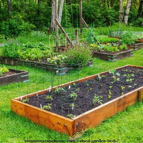 How To Raised Garden Beds