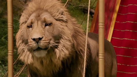 The Chronicles Of Narnia: The Lion & The Witch & The Wardrobe: Aslan (2005) (2) - YouTube