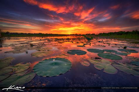 Sunset at a Lake in Kissimmee Florida | HDR Photography by Captain Kimo