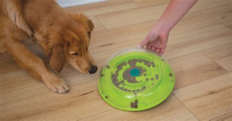 The 6 Best Dog Puzzle Toys for Mental Stimulation | Furtropolis