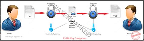 RSA Algorithm in C and C++ (Encryption and Decryption) - Just Tech Review