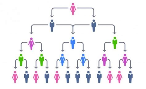 What Are The Advantages of a Hierarchical Organizational Structure?