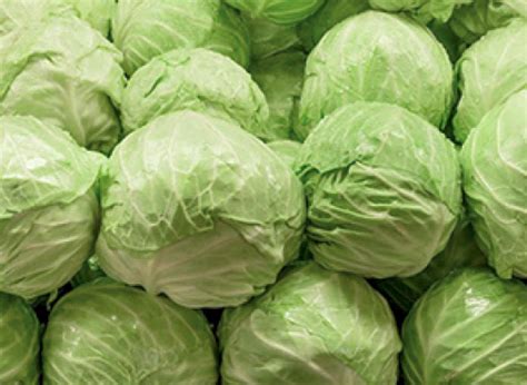 CABBAGE REPOLYO 500G (VEGETABLES) – Davao Groceries Online