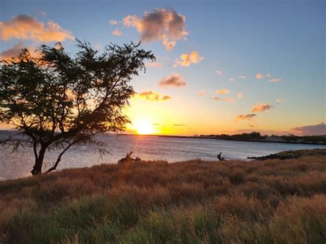 Spencer Beach Park - This Hawaii Life