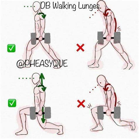 Quadriceps | Ejercicios de entrenamiento con pesas, Ejercicios de entrenamiento, Ejercicios ...