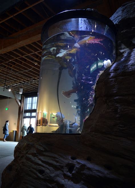 A Visit to the Seattle Aquarium
