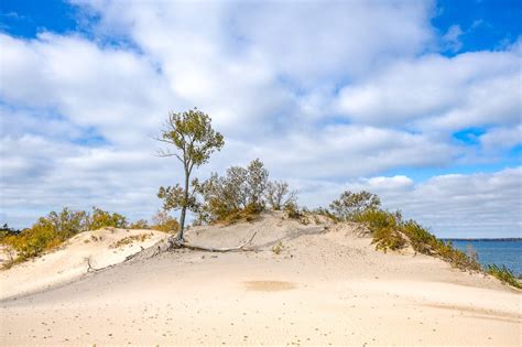 Exploring Sandbanks Provincial Park (2024) + Our Experience