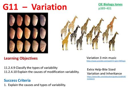 What Is The Definition Of Variant - DEFINITION GHW