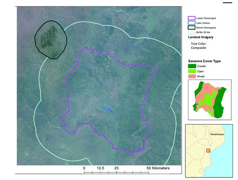 Study area map of low Lower Gorongosa, Mount Gorongosa and buffer area ...