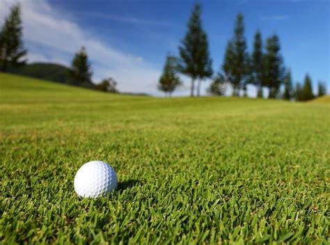 Types of Golf Course Grass and How to Adjust Your Game to Each