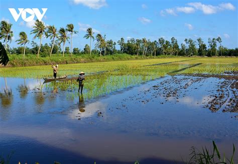 Mekong River Delta moves toward prosperity, sustainability