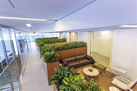 What is Indoor Landscaping? | Award-Winning NYC Landscapes