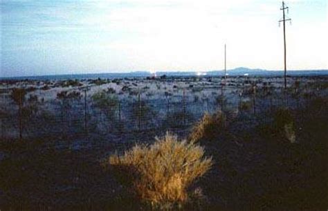 kayat kandi: The Marfa Lights Viewing Area