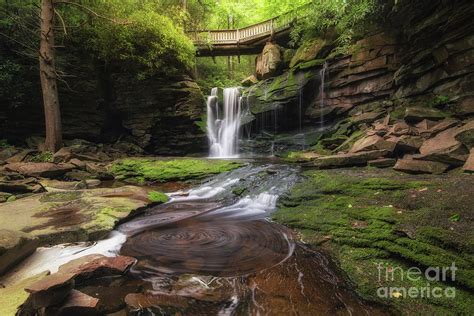 Elakala Falls Photograph by Michael Ver Sprill - Fine Art America