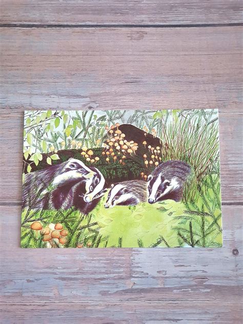 Badger Postcard/Notelet Card