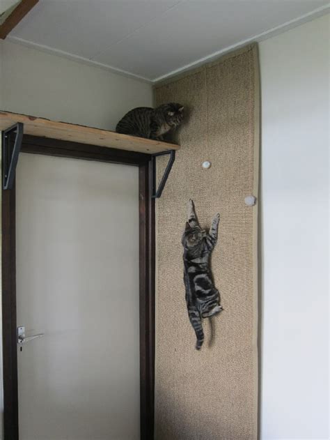 Climbing wall for cats - IKEA Hackers - IKEA Hackers