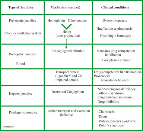 What Is Jaundice And Types Of Jaundice Siawht | Images and Photos finder