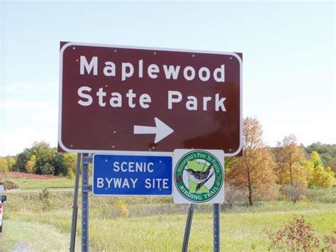 Maplewood State Park Bird Trail | Pine to Prairie