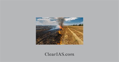 Crop Residue Management - ClearIAS