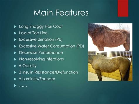 Hoof diseases for older horses