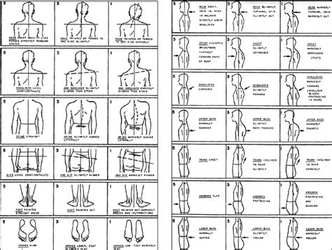 Posture Assessment Chart