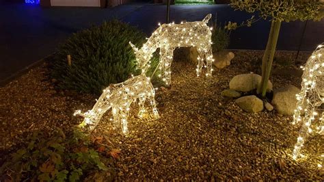 Reindeers Haughton, Christmas Lights, Reindeer, Farmland, Vineyard ...