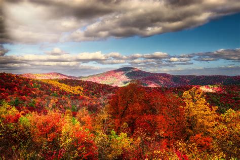 Asheville 2023 Fall Color Report & Forecast | Scenic Views | Asheville ...