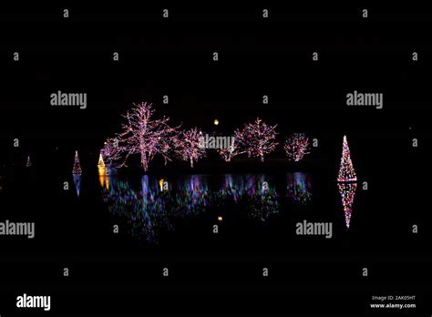 Christmas lights reflecting in the lake at Winter Wonderland Holiday Lights at Wellfield Botanic ...