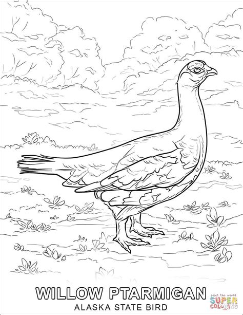 Alaska State Bird coloring page | Free Printable Coloring Pages