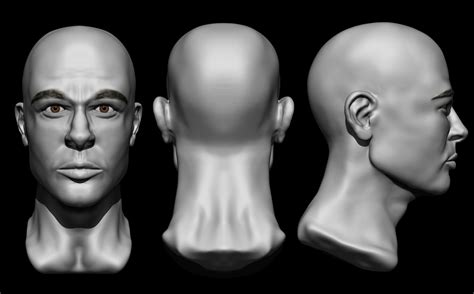 Fares Guettoch - Human Head Anatomy Studies