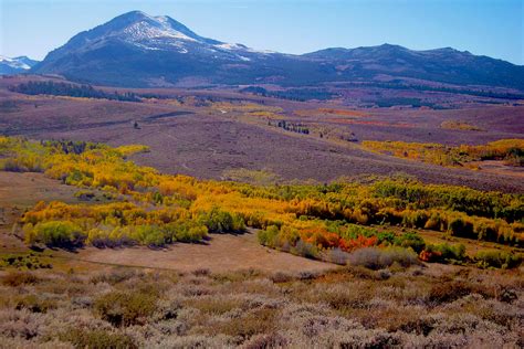 Weekend Update: Hope Valley Reborn – Go Now! – California Fall Color