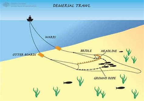 Fishing vessels level sea bottom - signs of a new dawning geological era