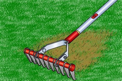 What is a thatching rake used for? - Wonkee Donkee Tools