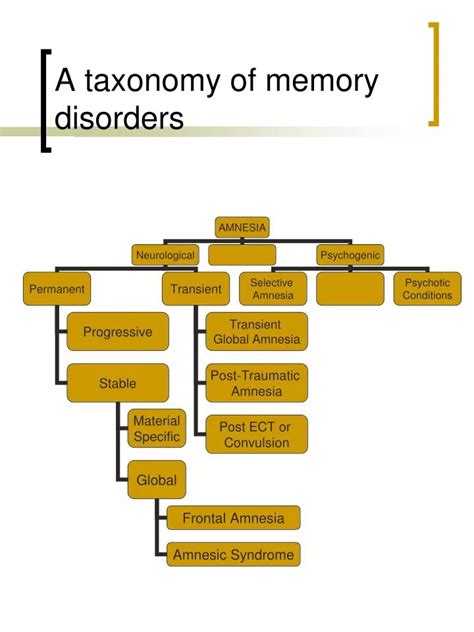 PPT - A taxonomy of memory disorders PowerPoint Presentation, free ...