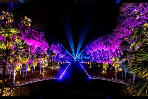 Night at the Garden Miami Experience: A magical light garden