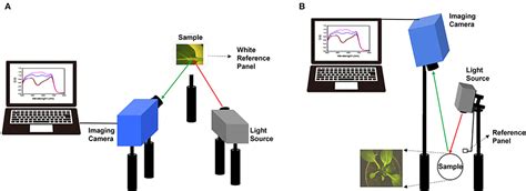 Frontiers | Measurement of Environmentally Influenced Variations in Anthocyanin Accumulations in ...