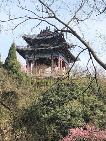 Purple Mountain (Zijin Shan) (Nanjing) - 2020 All You Need to Know Before You Go (with Photos ...