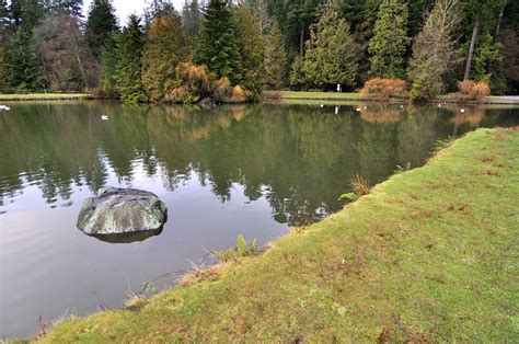 The Top Things to Do in Burnaby, British Columbia