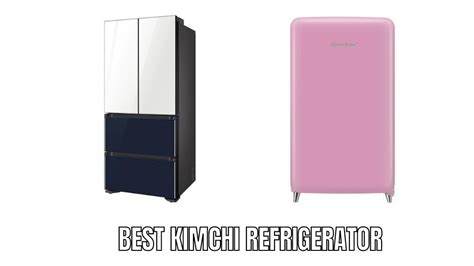 Top 10 best kimchi refrigerator Reviews in 2023 - Alfredo's Pizza Online